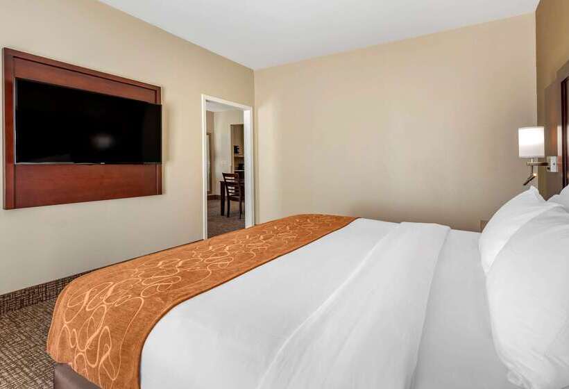 酒店 Comfort Suites Auburn Near I69