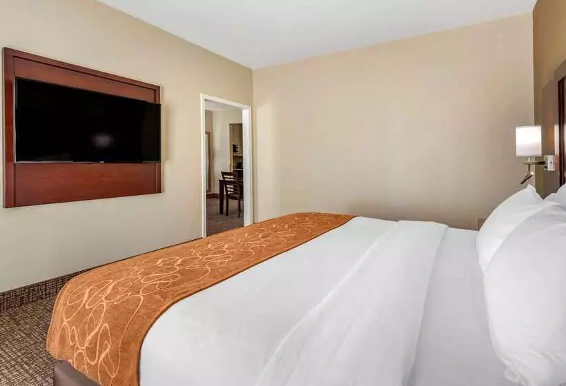 ホテル Comfort Suites Auburn Near I69