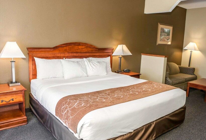 酒店 Comfort Suites Auburn Near I69