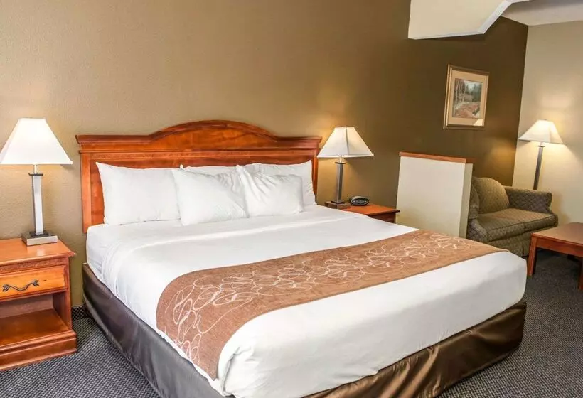 ホテル Comfort Suites Auburn Near I69