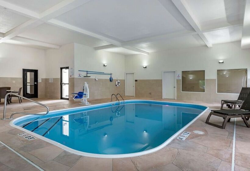 酒店 Comfort Suites Auburn Near I69