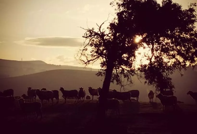 酒店 Curringa Farm