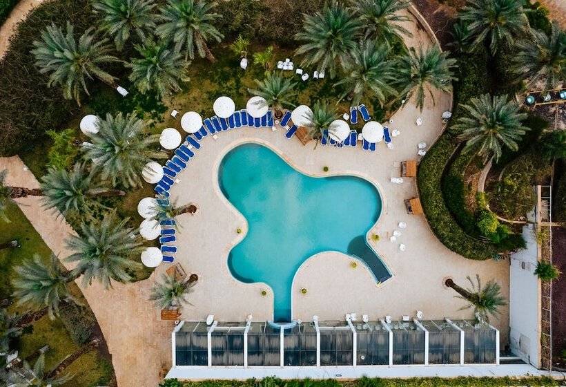 בית מלון כפרי David Dead Sea Resort & Spa