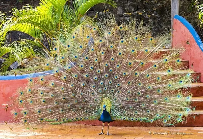 酒店 Pipa Selfness