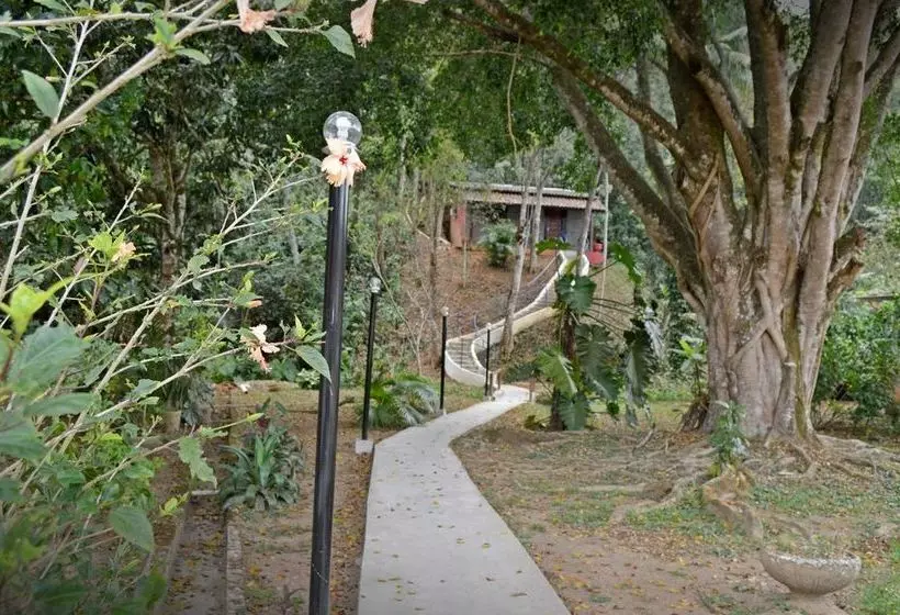 בית מלון כפרי Vale Verde Penedo