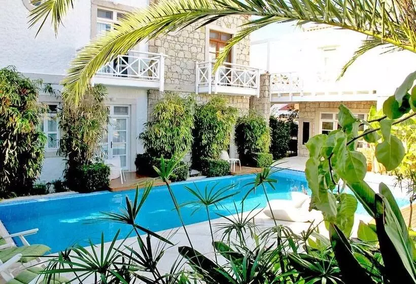 Hotelli Alenos Boutique