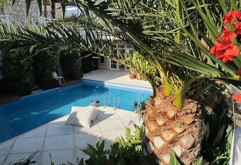 Hotelli Alenos Boutique