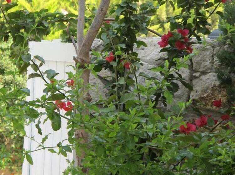 בית מלון כפרי Alenos Boutique