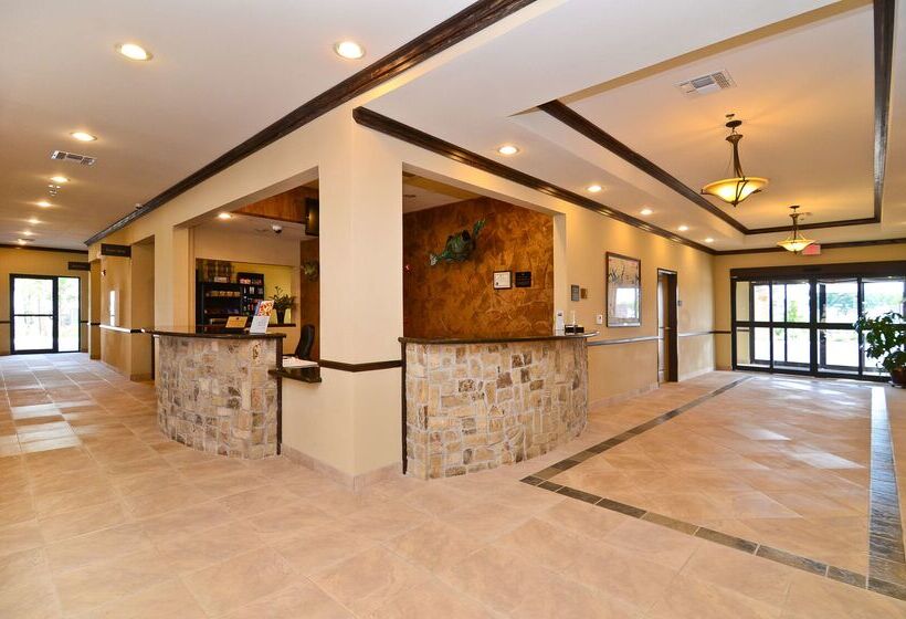 فندق Best Western Plus Emory At Lake Fork Inn & Suites