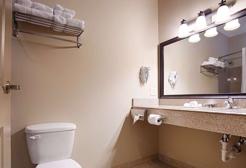 فندق Best Western Plus Emory At Lake Fork Inn & Suites