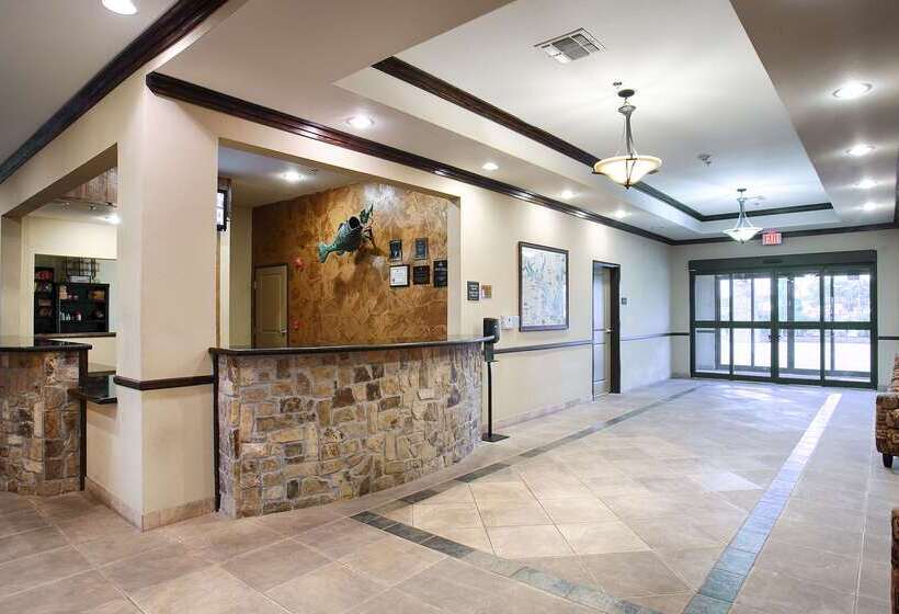 فندق Best Western Plus Emory At Lake Fork Inn & Suites