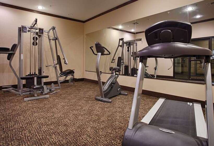 فندق Best Western Plus Emory At Lake Fork Inn & Suites