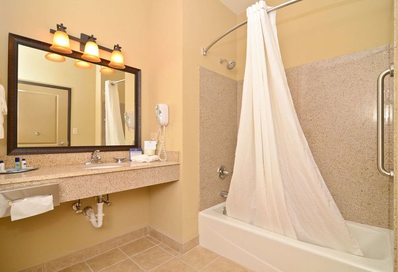 فندق Best Western Plus Emory At Lake Fork Inn & Suites