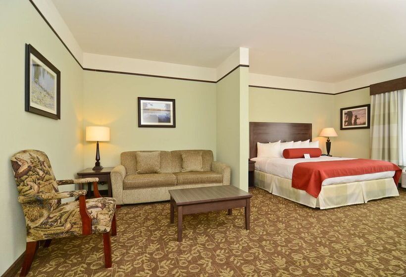 فندق Best Western Plus Emory At Lake Fork Inn & Suites