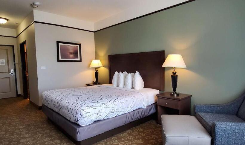 فندق Best Western Plus Emory At Lake Fork Inn & Suites