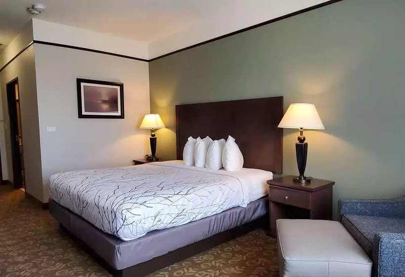 Szálloda Best Western Plus Emory At Lake Fork Inn & Suites