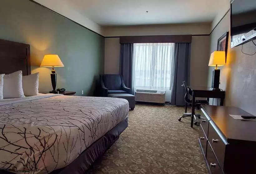 Szálloda Best Western Plus Emory At Lake Fork Inn & Suites