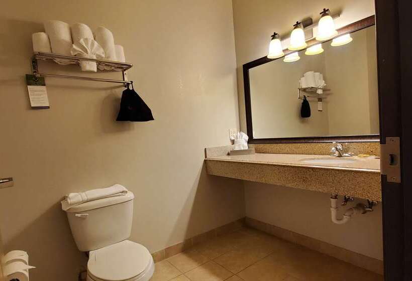 فندق Best Western Plus Emory At Lake Fork Inn & Suites