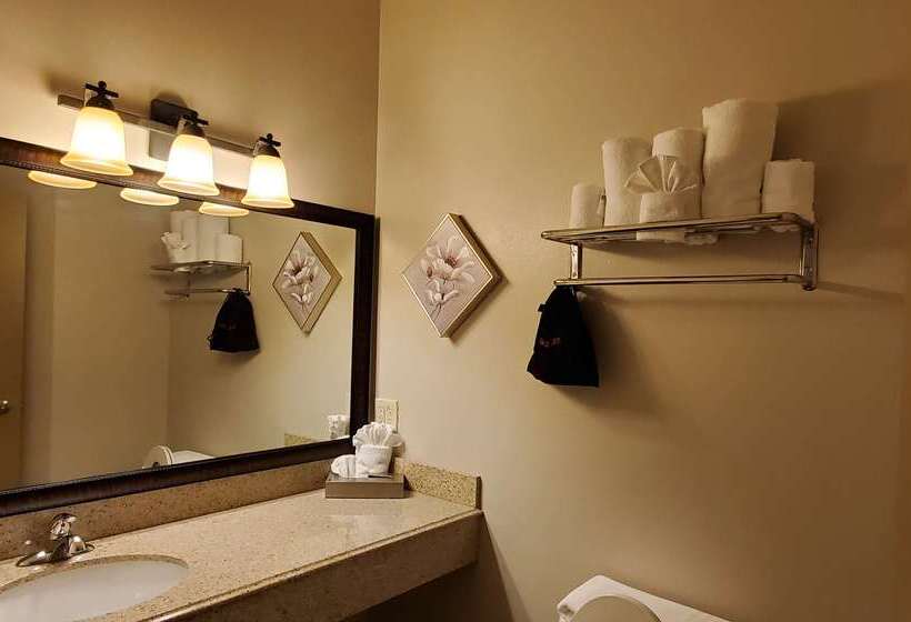 فندق Best Western Plus Emory At Lake Fork Inn & Suites