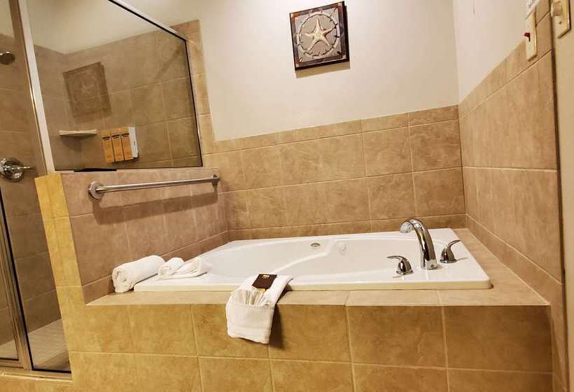 فندق Best Western Plus Emory At Lake Fork Inn & Suites