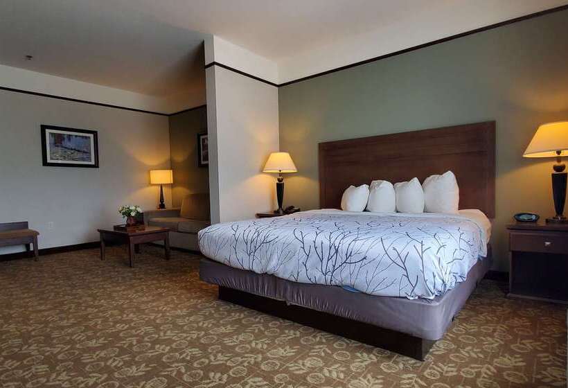 فندق Best Western Plus Emory At Lake Fork Inn & Suites
