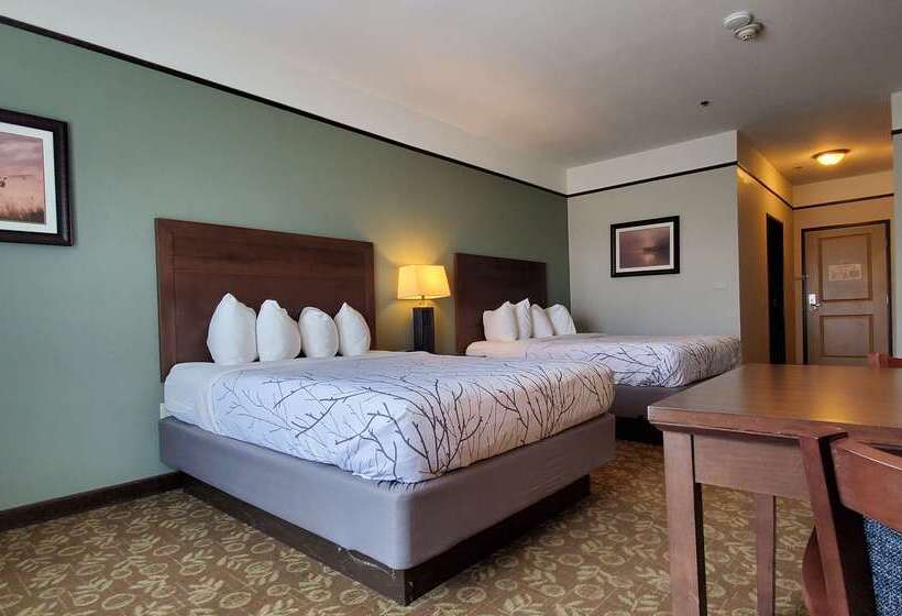 فندق Best Western Plus Emory At Lake Fork Inn & Suites