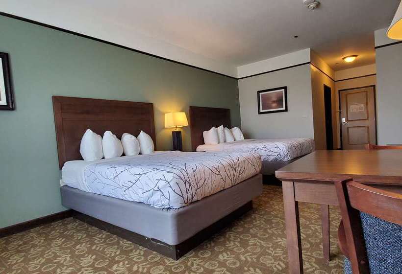 فندق Best Western Plus Emory At Lake Fork Inn & Suites