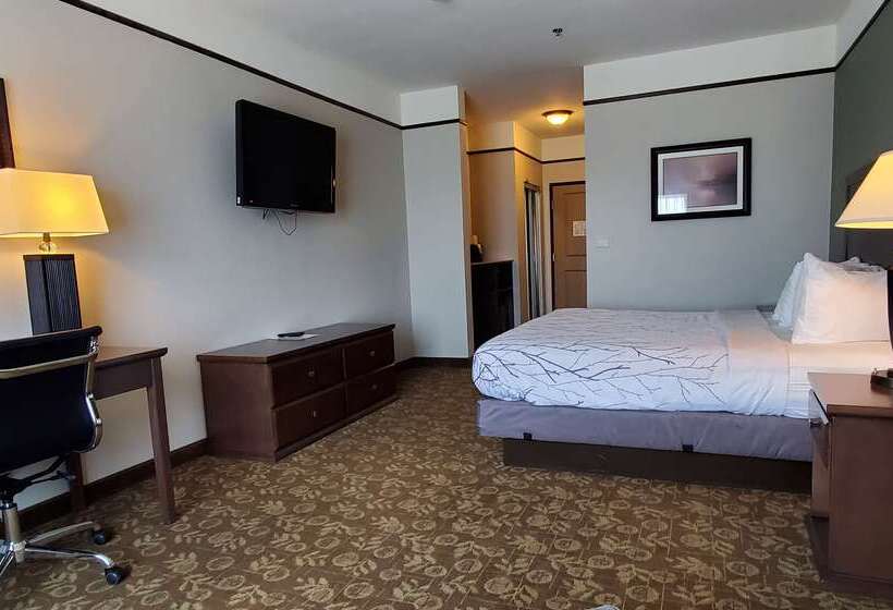 فندق Best Western Plus Emory At Lake Fork Inn & Suites