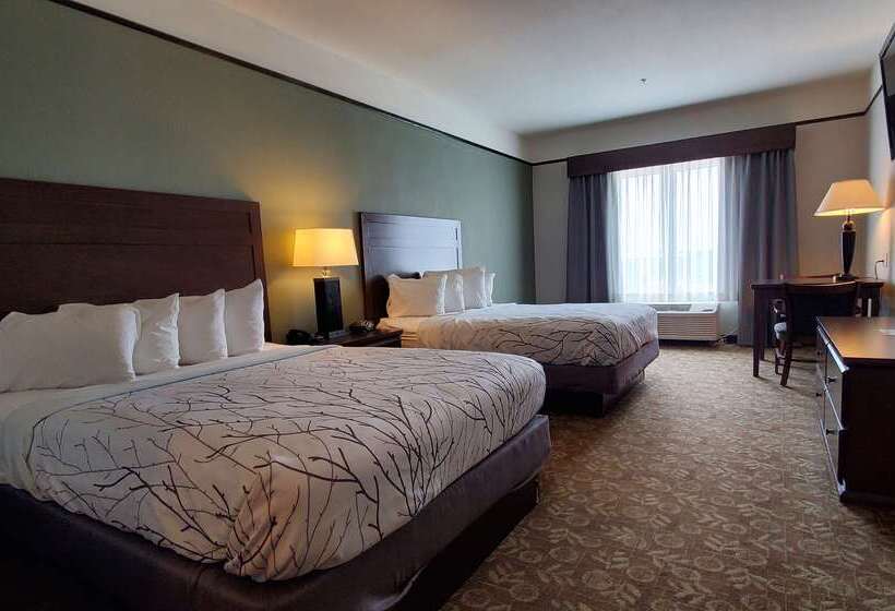 فندق Best Western Plus Emory At Lake Fork Inn & Suites