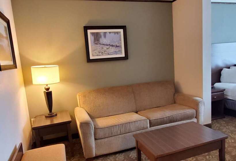 فندق Best Western Plus Emory At Lake Fork Inn & Suites