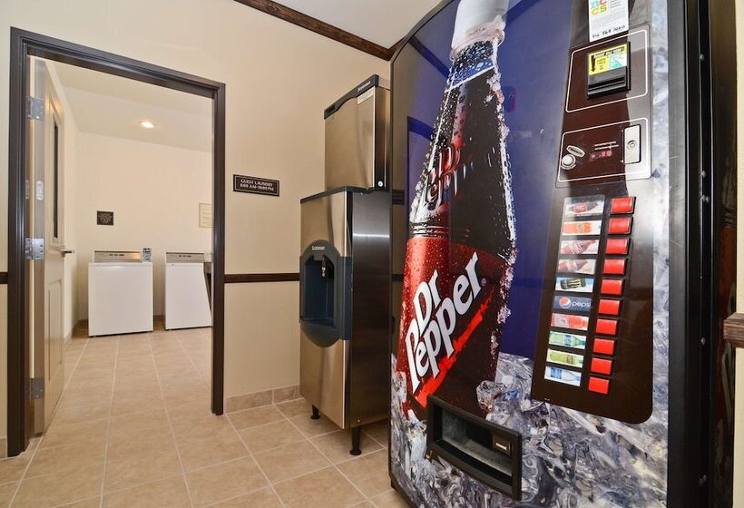 فندق Best Western Plus Emory At Lake Fork Inn & Suites