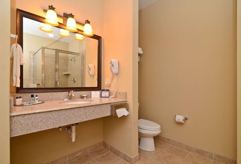 فندق Best Western Plus Emory At Lake Fork Inn & Suites