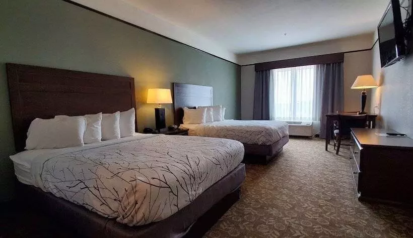 Szálloda Best Western Plus Emory At Lake Fork Inn & Suites