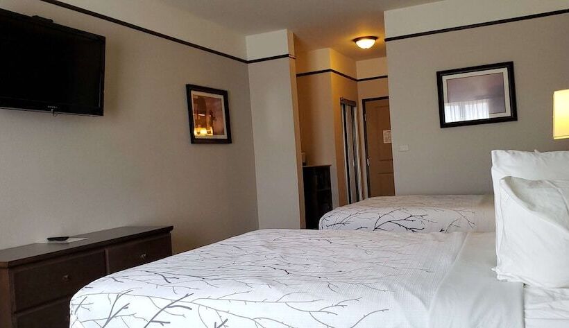 فندق Best Western Plus Emory At Lake Fork Inn & Suites