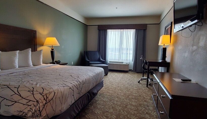 فندق Best Western Plus Emory At Lake Fork Inn & Suites