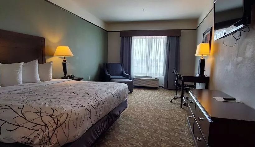 Szálloda Best Western Plus Emory At Lake Fork Inn & Suites