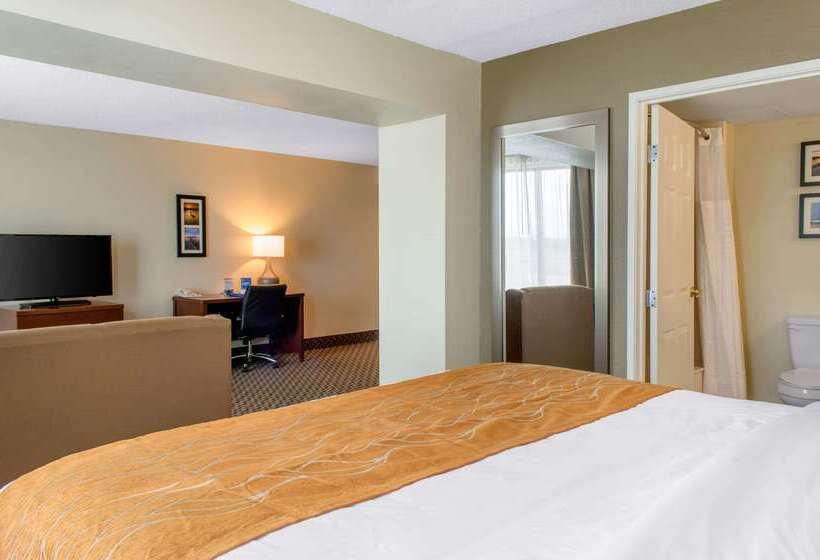 ホテル Comfort Inn & Suites Biloxid Iberville