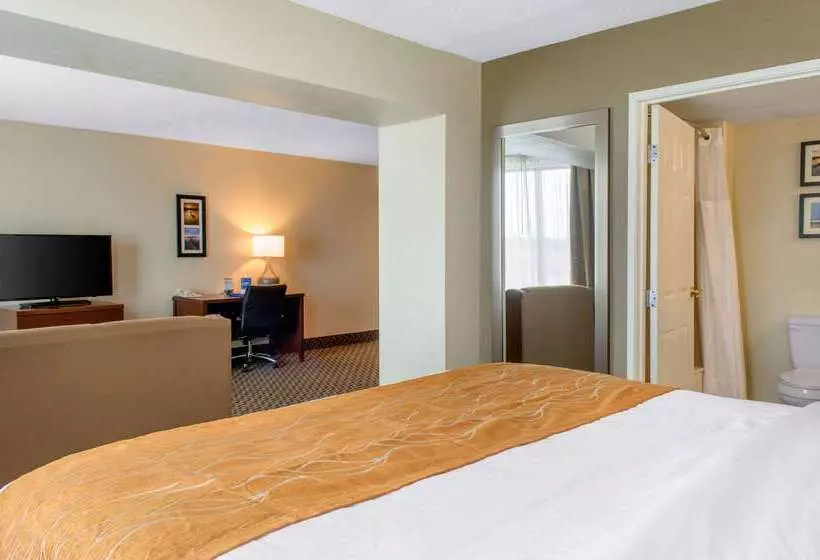 Отель Comfort Inn & Suites Biloxid Iberville