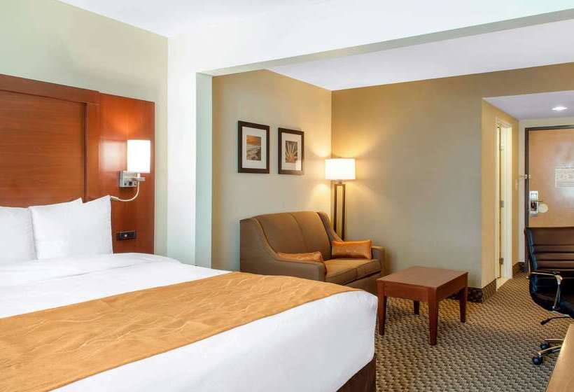 ホテル Comfort Inn & Suites Biloxid Iberville