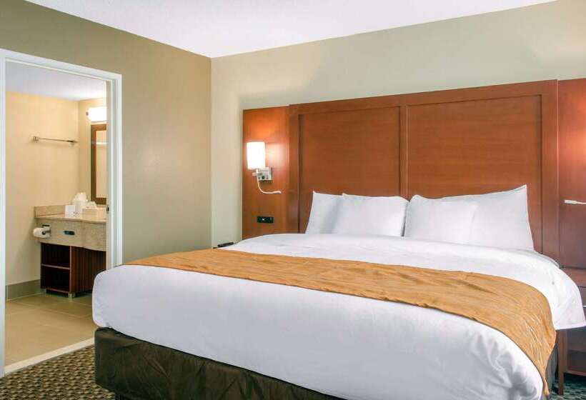 ホテル Comfort Inn & Suites Biloxid Iberville