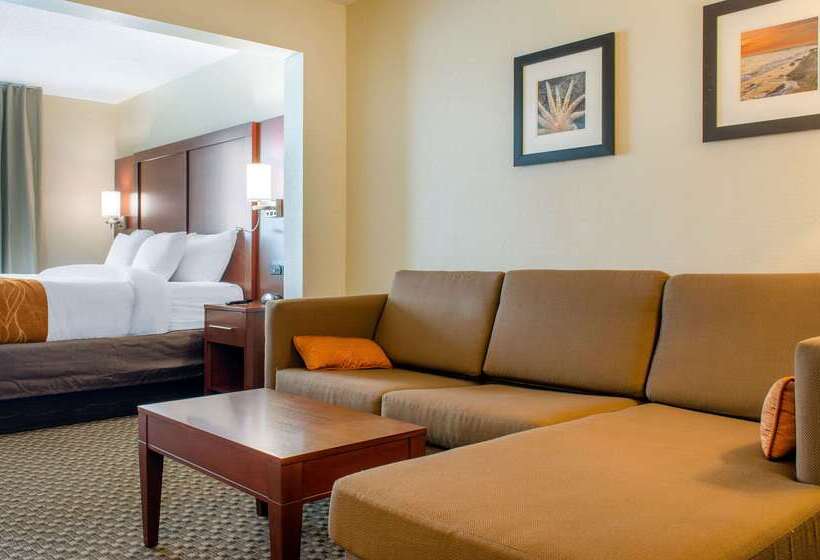 ホテル Comfort Inn & Suites Biloxid Iberville