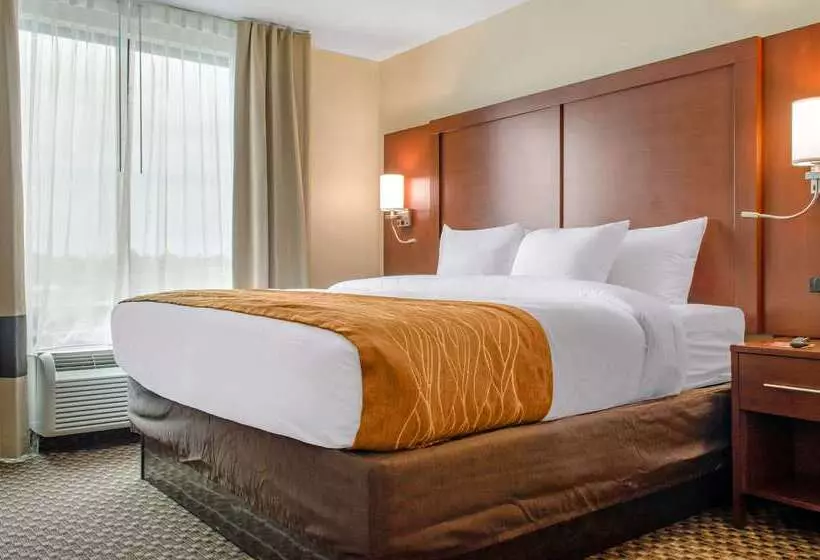 Отель Comfort Inn & Suites Biloxid Iberville