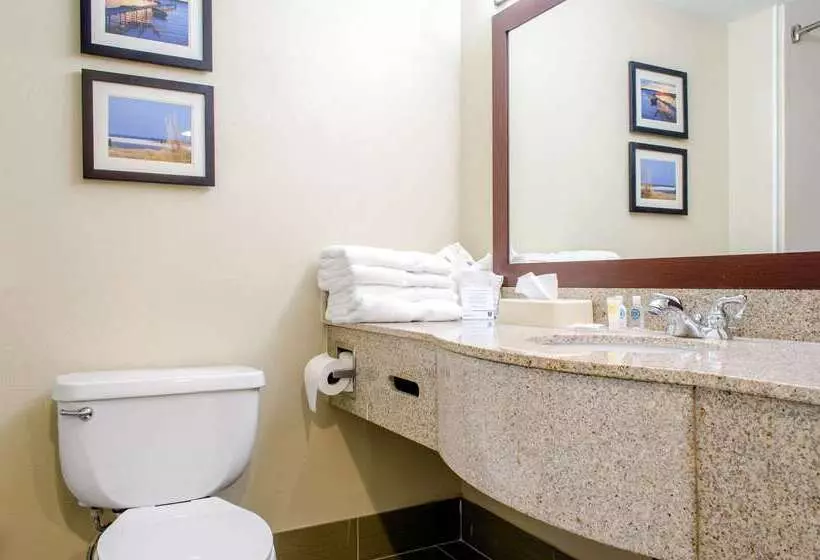 Отель Comfort Inn & Suites Biloxid Iberville
