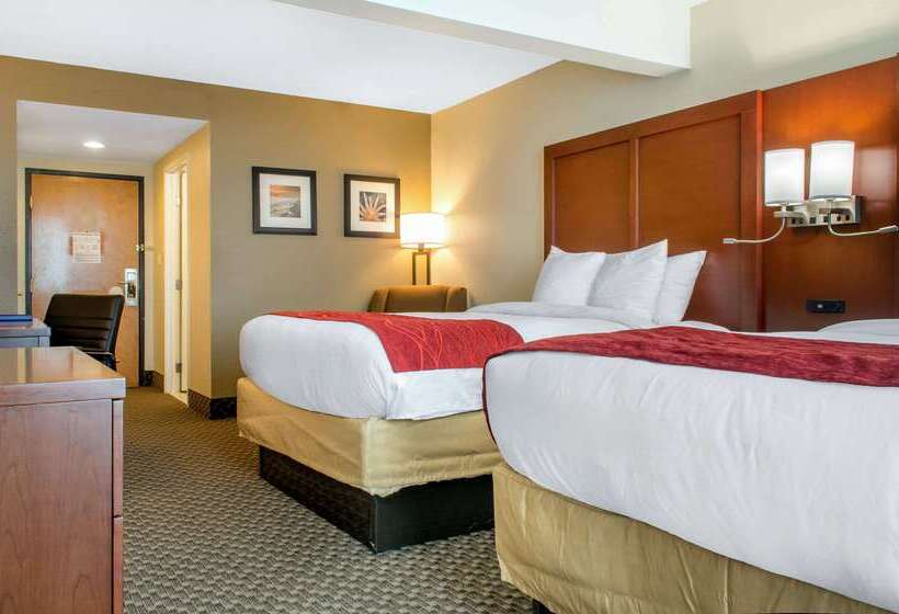 ホテル Comfort Inn & Suites Biloxid Iberville