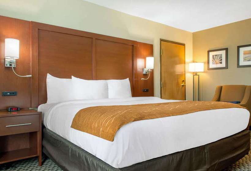 ホテル Comfort Inn & Suites Biloxid Iberville
