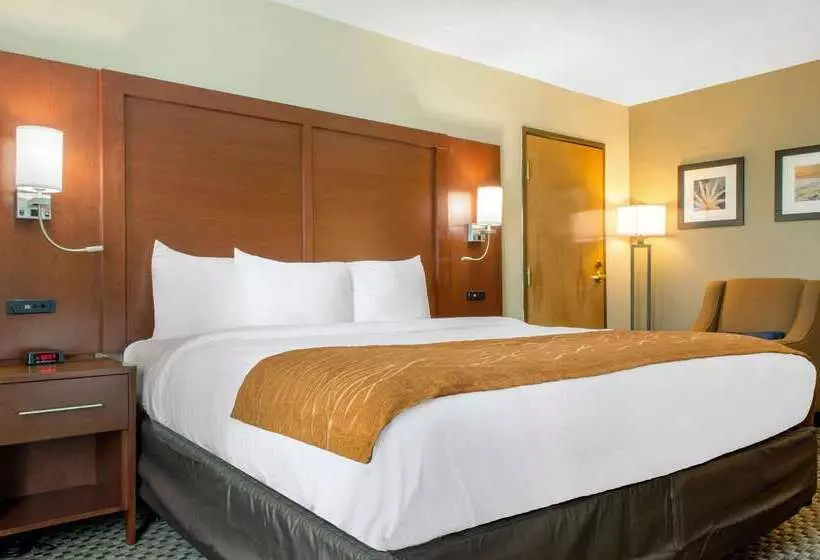 Отель Comfort Inn & Suites Biloxid Iberville