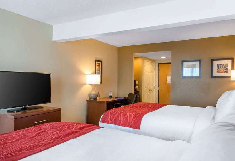 ホテル Comfort Inn & Suites Biloxid Iberville