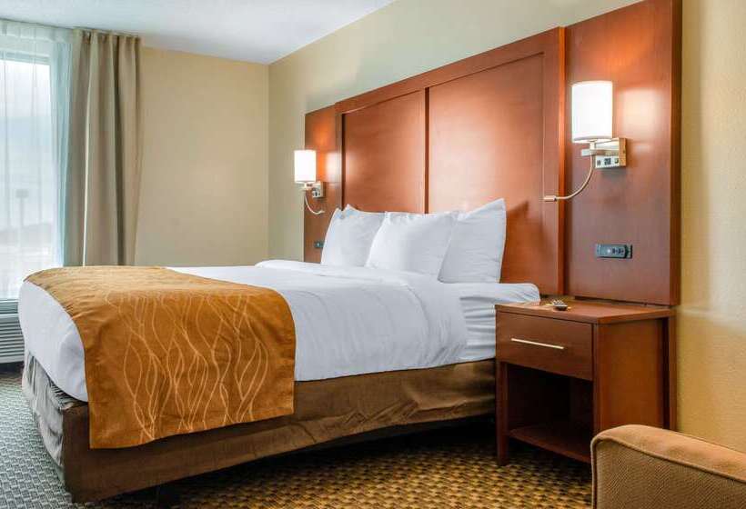 ホテル Comfort Inn & Suites Biloxid Iberville