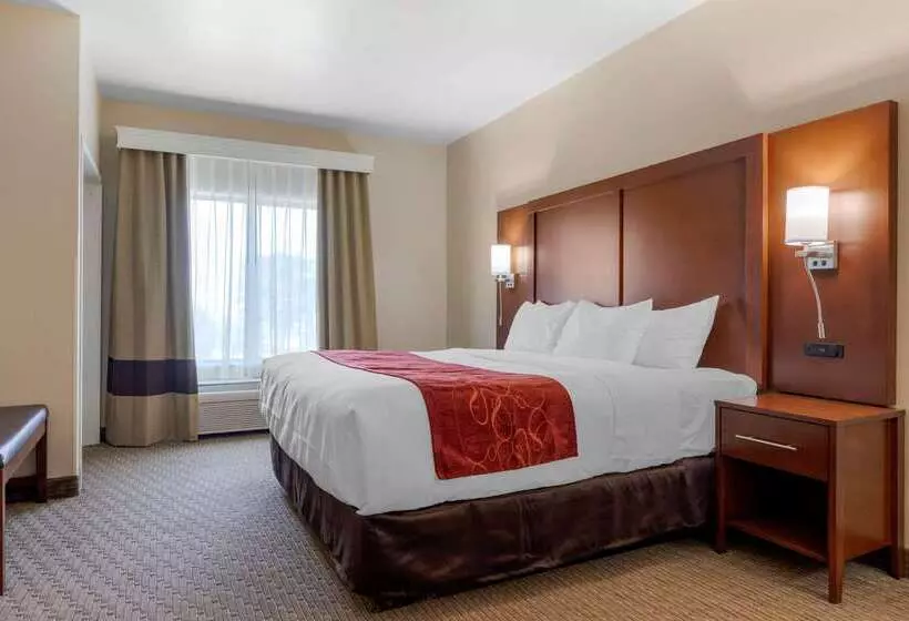 酒店 Comfort Suites