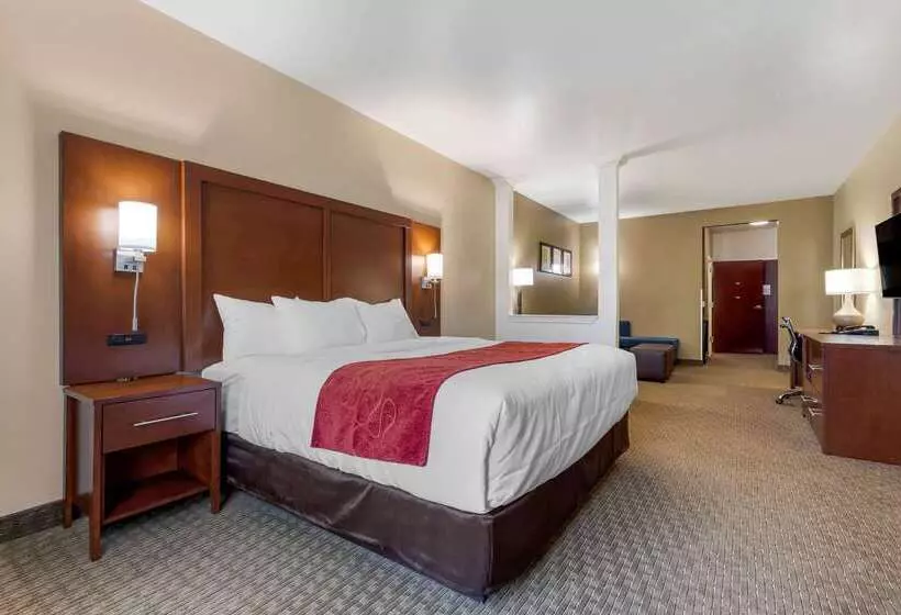酒店 Comfort Suites